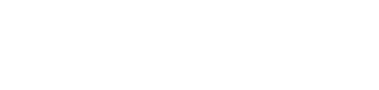 Logo ConnectSecure